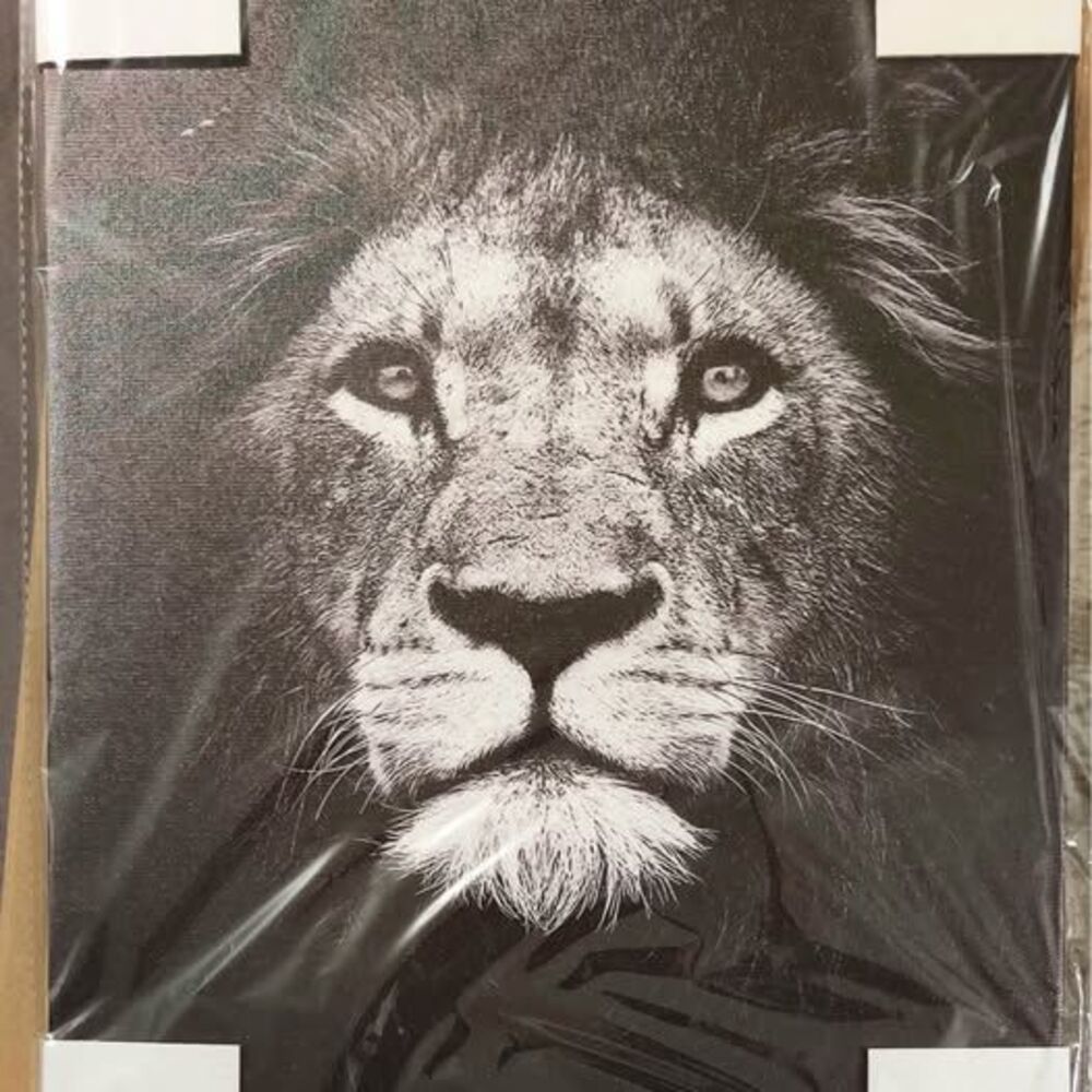 Lion Wall Art Canvas
